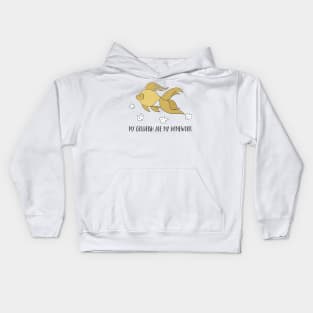 My Goldfish Ate My Homework, Funny Pet Kids Hoodie